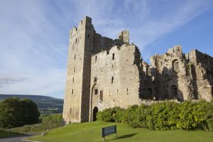 bolton castle 2 sm-c68.jpg